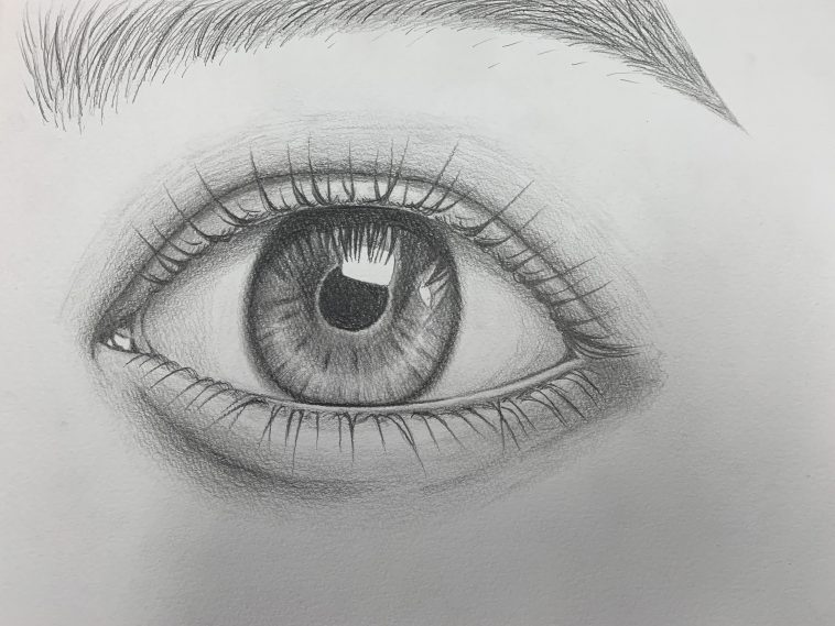 芸術デッサン アーティスティックb